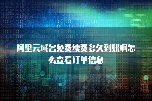 域名續(xù)費(fèi)流程與到賬時(shí)間解析